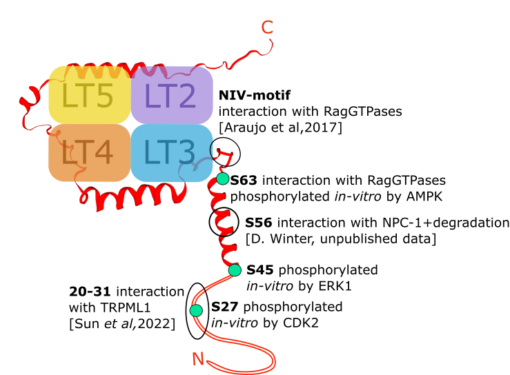 cell biology phd positions